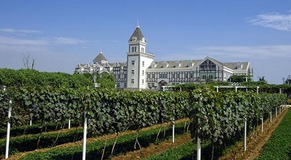 张裕国际葡萄酒城旅游区