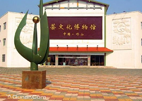 崂山茶文化博物馆