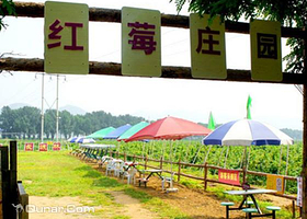东方夏都金百瑞红莓庄园