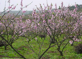 花果山生态观光农业旅游区