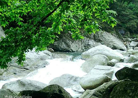 森林旅游生态园