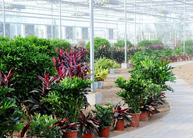 大明盛泰观光园