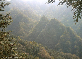 偏头山