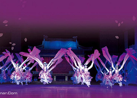 瀚雅国际·花漾星期四