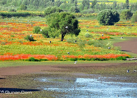 雁鸣湖旅游度假区