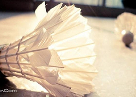 思菩兰天天羽毛球馆