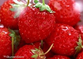 杨城寨采摘基地(杨城寨草莓采摘协会)