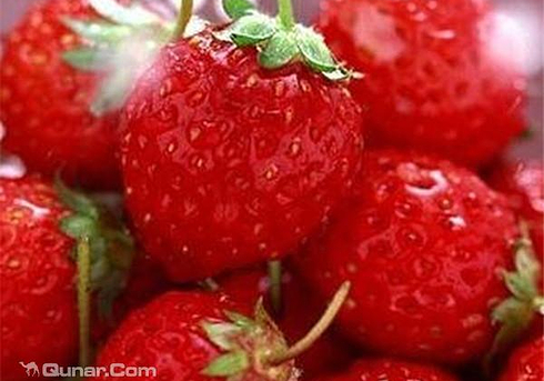 杨城寨草莓采摘基地门票,杨城寨草莓采摘基地