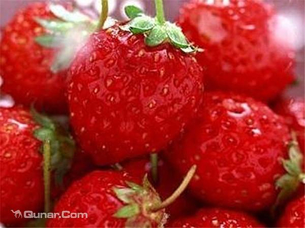 【2014杨城寨草莓采摘基地旅游】杨城寨草莓