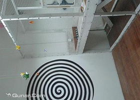 滁州XS911真人密室逃生俱乐部