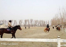 天津龙源马术俱乐部