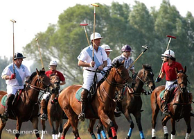 北京西部动力马球马术俱乐部