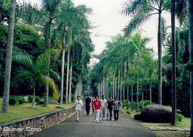 兴隆热带雨林观赏区