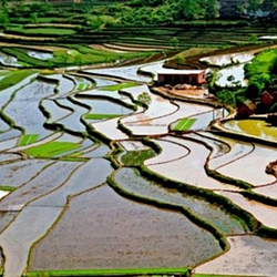 金刚台（西河）生态旅游区