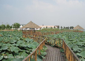 莲花岛沈记蟹园