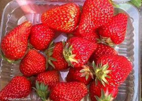 七色果欢乐采摘园