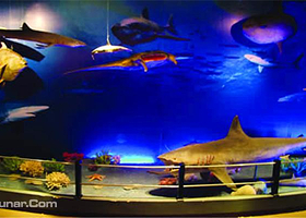 中国海洋渔业博物馆