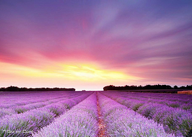 普罗旺斯精选景点路线