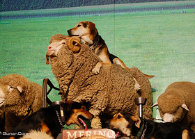 彩虹泉自然公园