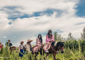 拉市海千里走单骑马场