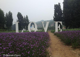 智博薰衣草庄园