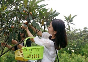 杭州山果湾农庄