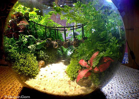 魔幻奇境微景观DIY手工坊