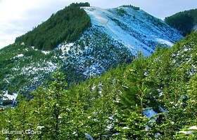 寿鹿山森林公园