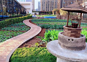 田园趣天空农场