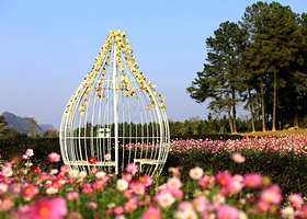 南国童话原野庄园