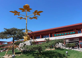 安国数字中药都