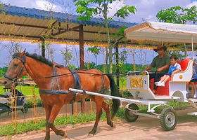 潭丰洋火山湿地自然农庄