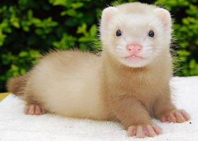 南城汇一城雨林探秘科普乐园