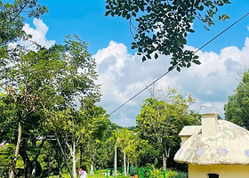 乐驱丛林探索亲子乐园