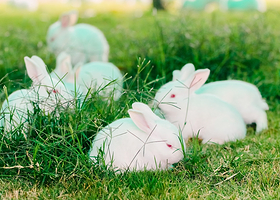 酷芽亲子农场(西樵山店)
