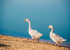 腾格里沙间驻露营地