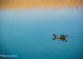 不止沙·伴湖露营地