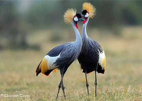 福州永泰鸟语林