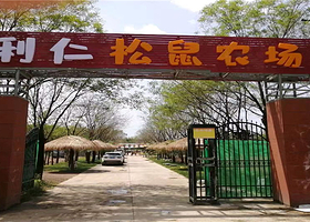 松鼠农场