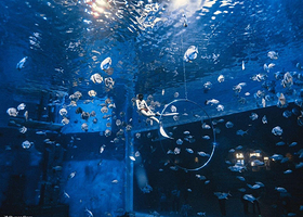 极海潜水俱乐部（汉海海洋公园潜店）