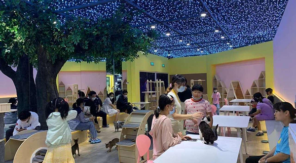 Plum Guide - Wells & Slate