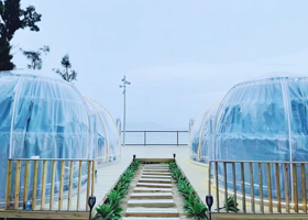 倦鸟营地领域1号店