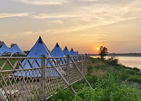 星空花海露营地