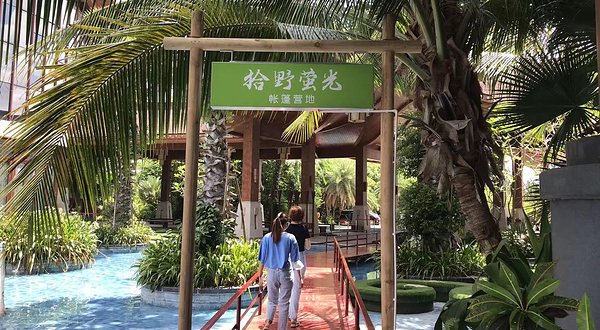 拾野萤光帐篷营地