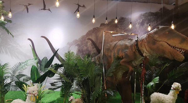 恐龙探索馆(庄河店)