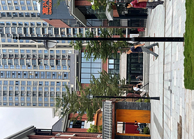 【海口】疯狂兔子宇宙博物馆奇趣展全球巡展