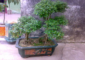 杭州传统工艺馆