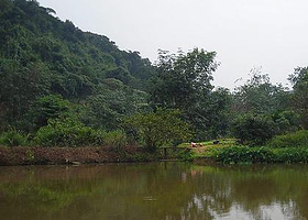 加笼坪热带季雨林旅游区