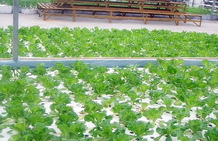 滨海航母主题公园门票,滨海航母主题公园门票