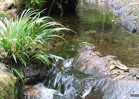 红茶沟森林公园